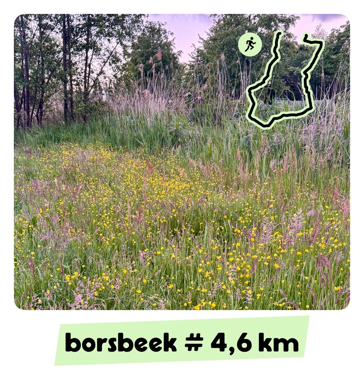 Een foto met boterbloemen en een lay-out die weergeeft hoeveel er gelopen is.