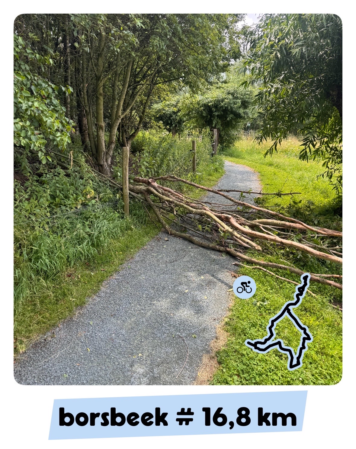 Een omgevallen boom blokkeert een fietspad in een groen bosrijk gebied. Het pad is omgeven door dichte bomen en gras.